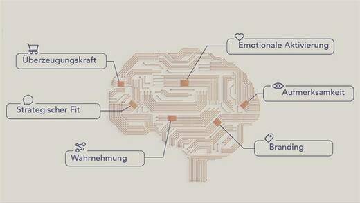 Neurowissenschaftliche Erkenntnisse zeigen, welche Faktoren die Werbewirkung maßgeblich beeinflussen. Sie lassen sich in sechs zentrale Effektivitätstreiber gliedern: Aufmerksamkeit, Branding, Wahrnehmung, strategischer Fit, Emotionale Aktivierung und Überzeugungskraft.
